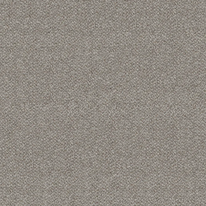 Shaw Floors Break Free — Whisper · 5E879-00120 — flooring selection with LeviArs Design & Remodeling