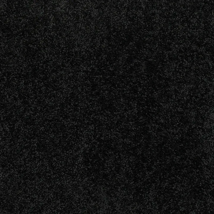 Shaw Floors Briceville Classic 15 — Coal Black · E0952-55502 — flooring selection with LeviArs Design & Remodeling