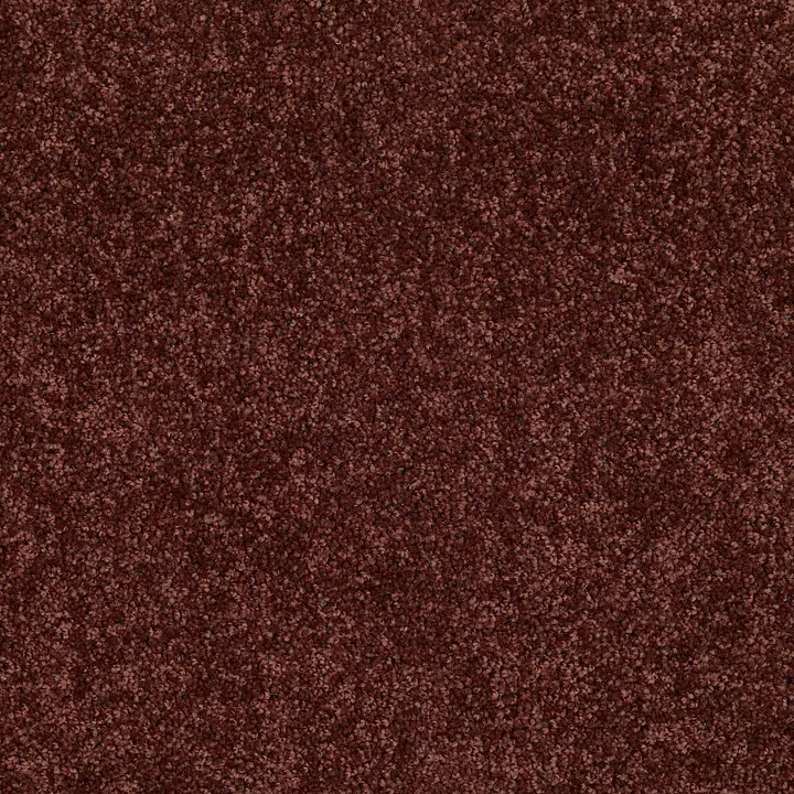 Shaw Floors Briceville Classic 15 — Coffee · E0952-55755 — flooring selection with LeviArs Design & Remodeling