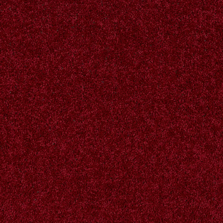 Shaw Floors Briceville Classic 15 — Crimson · E0952-55803 — flooring selection with LeviArs Design & Remodeling
