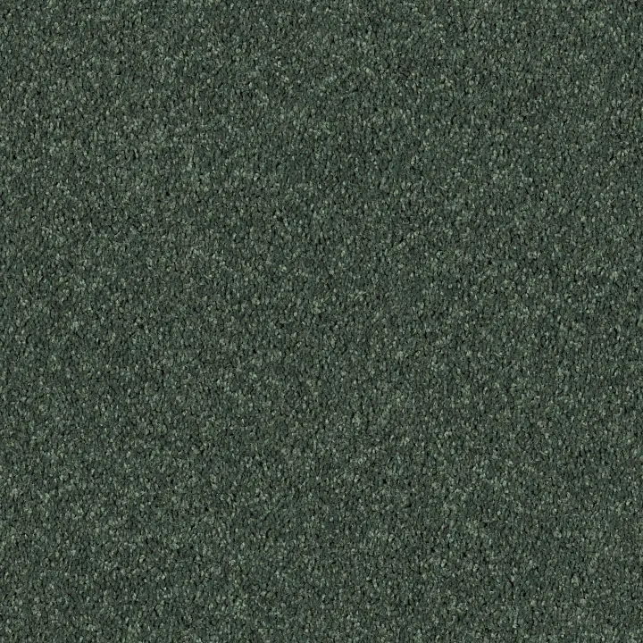 Shaw Floors Briceville Classic 15 — Going Green · E0952-00340 — flooring selection with LeviArs Design & Remodeling