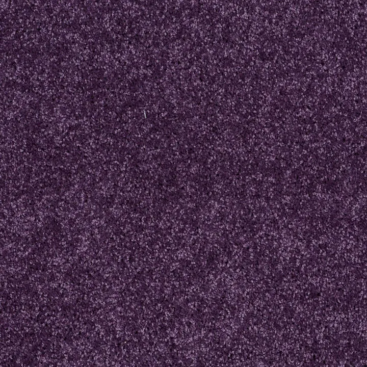 Shaw Floors Briceville Classic 15 — Grape Slushy · E0952-00931 — flooring selection with LeviArs Design & Remodeling