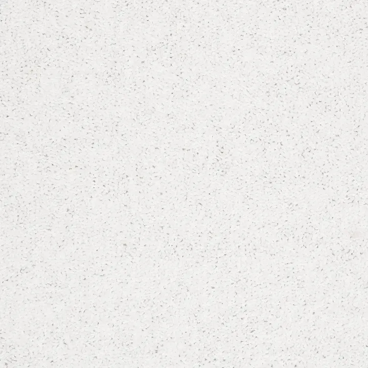Shaw Floors Briceville Classic 15 — Snow Bunny · E0952-52120 — flooring selection with LeviArs Design & Remodeling