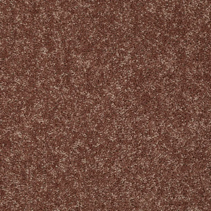 Shaw Floors Briceville Classic 15 — Winter Wheat · E0952-55791 — flooring selection with LeviArs Design & Remodeling