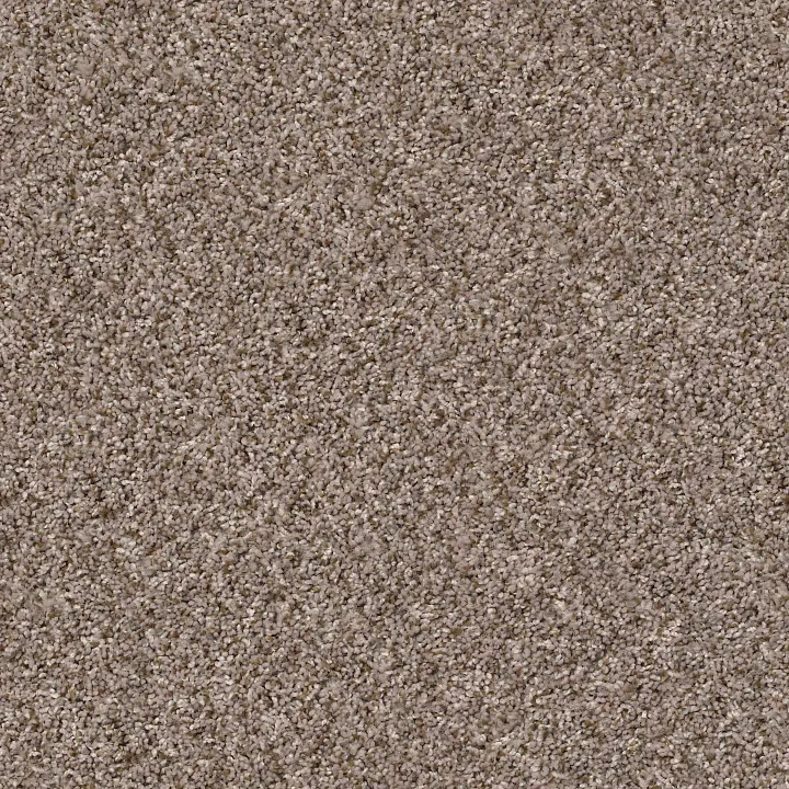 Shaw Floors Cabana Bay (B) — Brown Reed · E9956-00751 — flooring selection with LeviArs Design & Remodeling