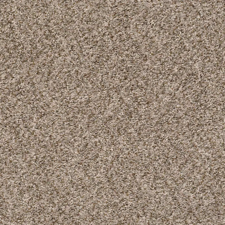 Shaw Floors Cabana Bay (B) — Mesa · E9956-00152 — flooring selection with LeviArs Design & Remodeling