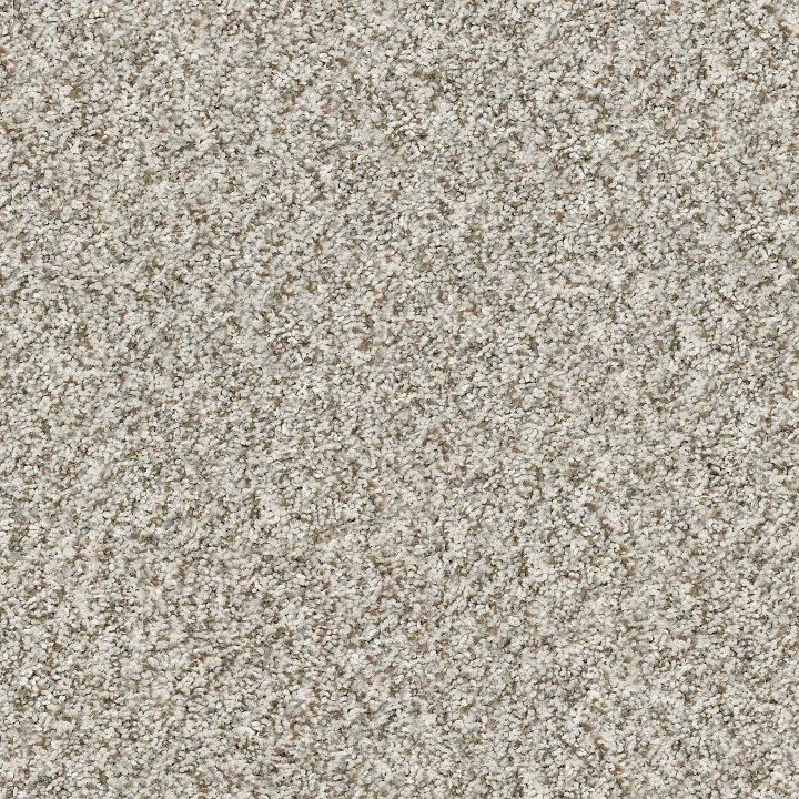 Shaw Floors Cabana Bay (B) — Seashell · E9956-00151 — flooring selection with LeviArs Design & Remodeling