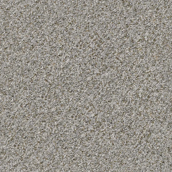 Shaw Floors Cabana Bay (B) — Sierra Mist · E9956-00555 — flooring selection with LeviArs Design & Remodeling