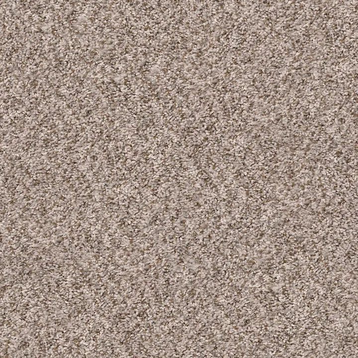 Shaw Floors Cabana Bay (B) — Summer Wind · E9956-00251 — flooring selection with LeviArs Design & Remodeling