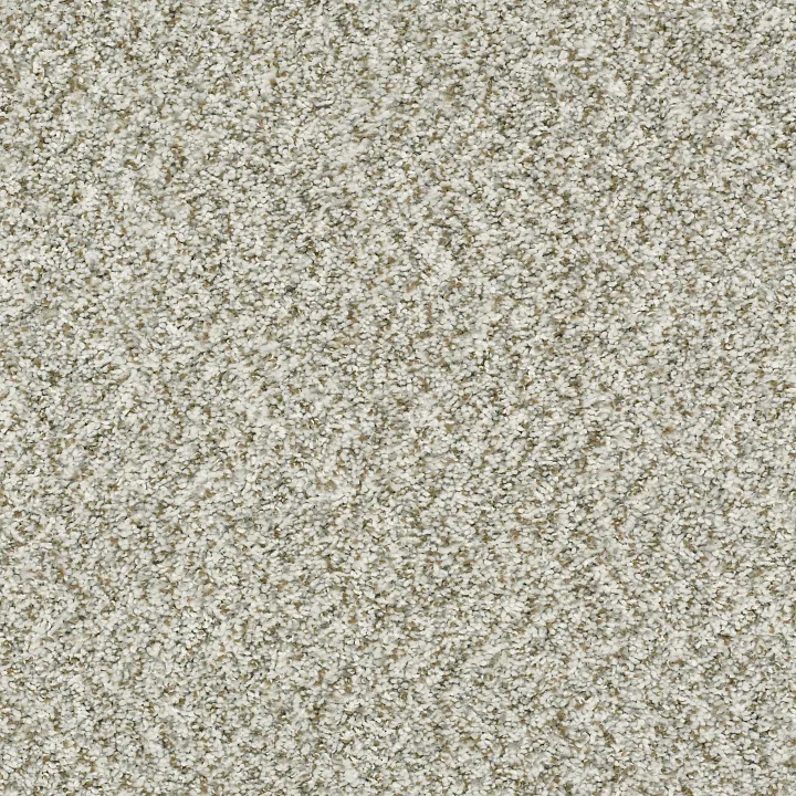 Shaw Floors Cabana Bay (B) — Winter · E9956-00150 — flooring selection with LeviArs Design & Remodeling