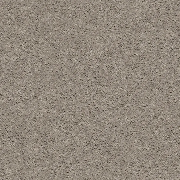 Shaw Floors Cabana Bay Solid — Perfect Taupe · E9954-00715 — flooring selection with LeviArs Design & Remodeling