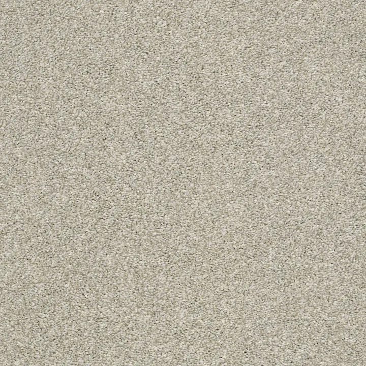 Shaw Floors Cabana Bay Tonal — Ecru · E9955-00530 — flooring selection with LeviArs Design & Remodeling