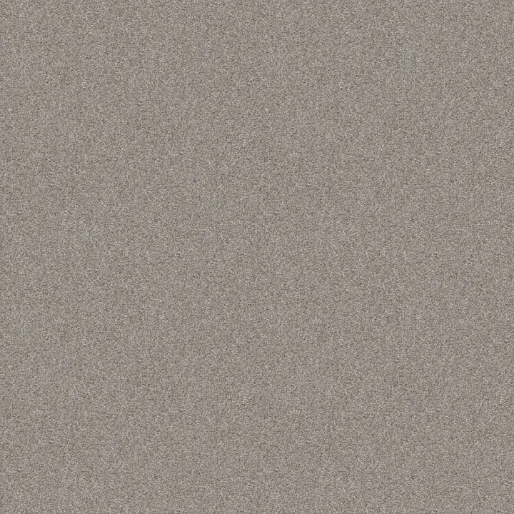 Shaw Floors Cabana Bay Tonal — Fog · E9955-00540 — flooring selection with LeviArs Design & Remodeling