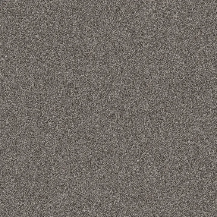 Shaw Floors Cabana Bay Tonal — Mountain Path · E9955-00531 — flooring selection with LeviArs Design & Remodeling