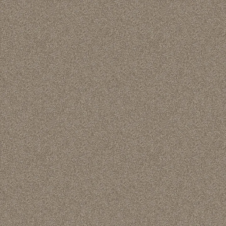 Shaw Floors Cabana Bay Tonal — Pebble Creek · E9955-00135 — flooring selection with LeviArs Design & Remodeling