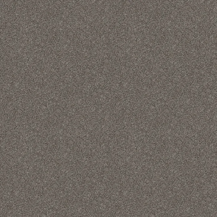 Shaw Floors Cabana Bay Tonal — Shadow · E9955-00541 — flooring selection with LeviArs Design & Remodeling