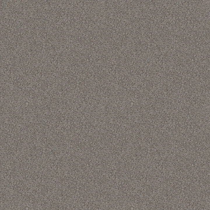 Shaw Floors Cabana Bay Tonal — Stainless · E9955-00542 — flooring selection with LeviArs Design & Remodeling