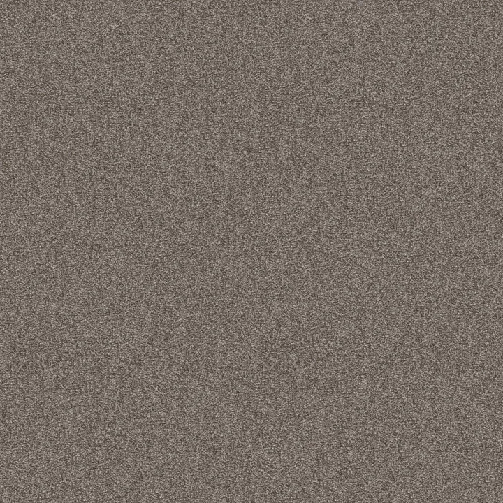 Shaw Floors Cabana Bay Tonal — Walking Trail · E9955-00745 — flooring selection with LeviArs Design & Remodeling