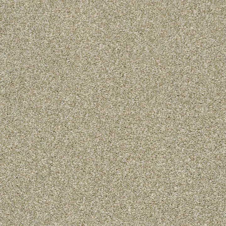 Shaw Floors Cabana Bay Tonal — Wheat Field · E9955-00142 — flooring selection with LeviArs Design & Remodeling