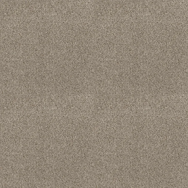Shaw Floors Cabana Life (B) — Beach House · E9959-00250 — flooring selection with LeviArs Design & Remodeling