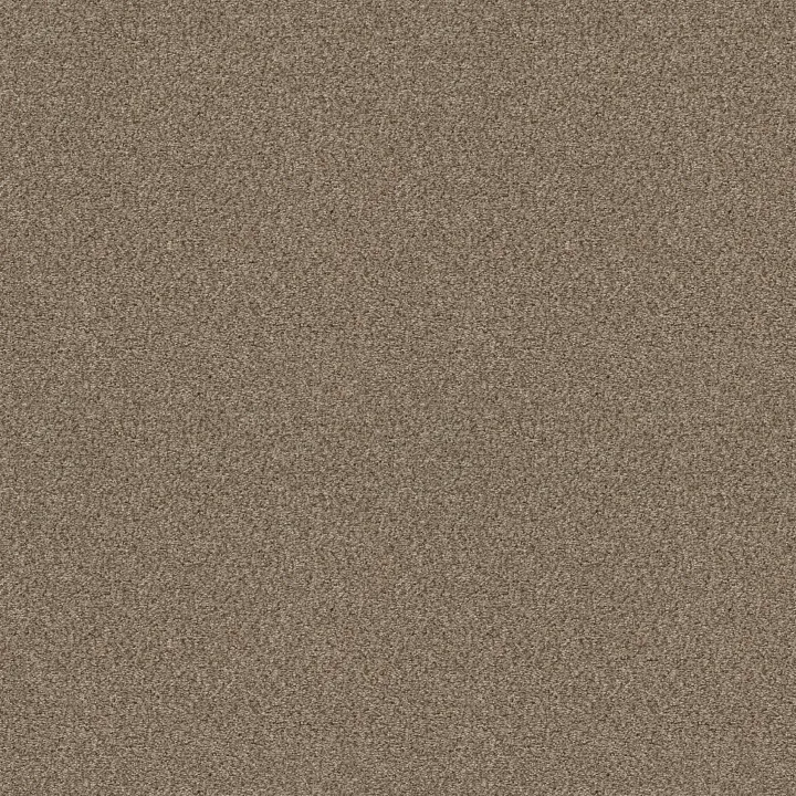 Shaw Floors Cabana Life (B) — Brown Reed · E9959-00751 — flooring selection with LeviArs Design & Remodeling