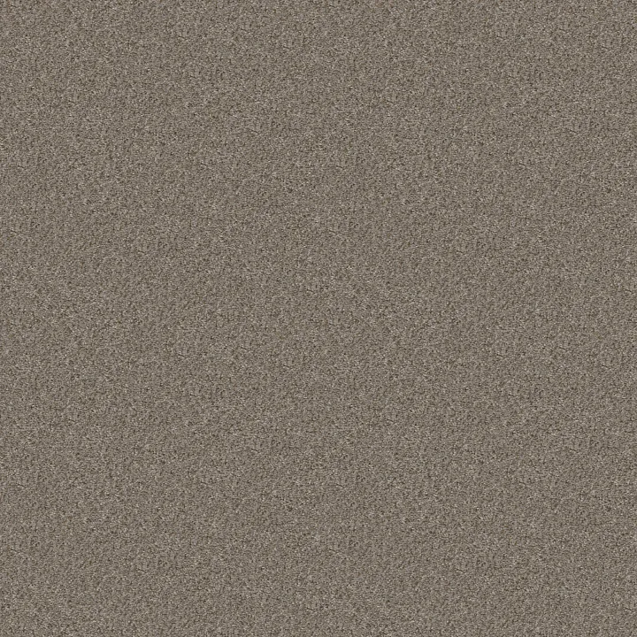 Shaw Floors Cabana Life (B) — Granite · E9959-00551 — flooring selection with LeviArs Design & Remodeling