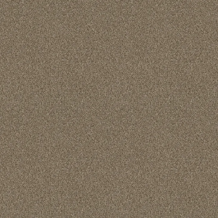 Shaw Floors Cabana Life (B) — Mesa · E9959-00152 — flooring selection with LeviArs Design & Remodeling