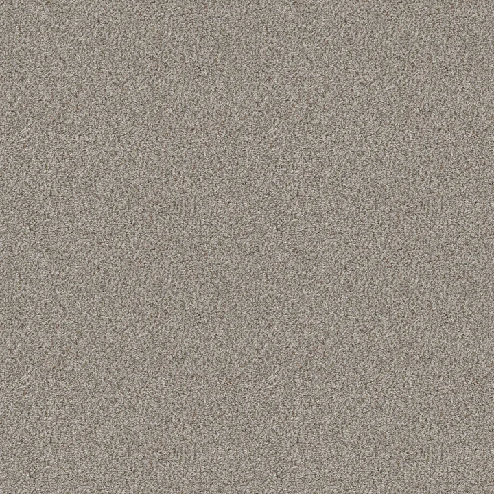 Shaw Floors Cabana Life (B) — Seashell · E9959-00151 — flooring selection with LeviArs Design & Remodeling