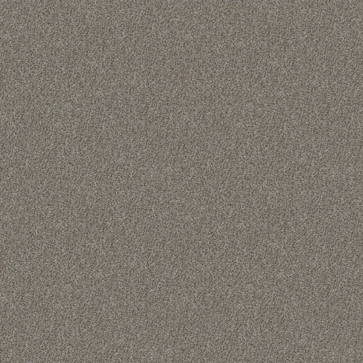 Shaw Floors Cabana Life (B) — Sierra Mist · E9959-00555 — flooring selection with LeviArs Design & Remodeling