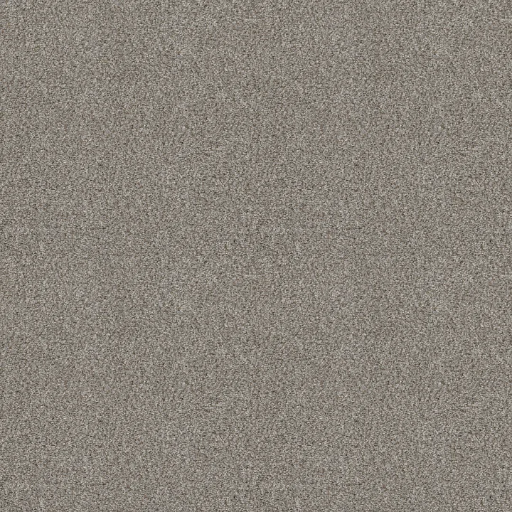 Shaw Floors Cabana Life (B) — Stone · E9959-00550 — flooring selection with LeviArs Design & Remodeling