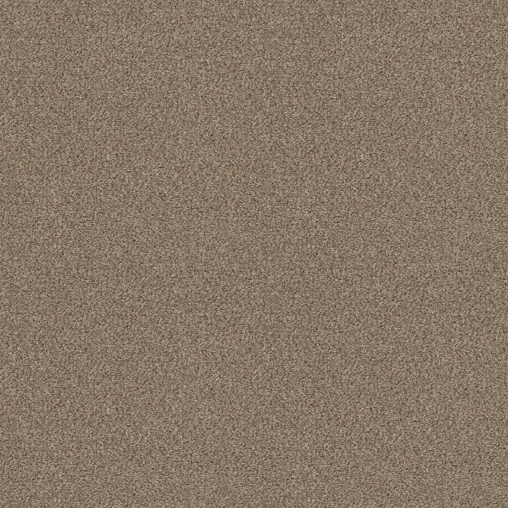 Shaw Floors Cabana Life (B) — Summer Wind · E9959-00251 — flooring selection with LeviArs Design & Remodeling