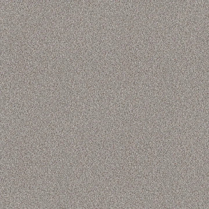 Shaw Floors Cabana Life (B) — Winter · E9959-00150 — flooring selection with LeviArs Design & Remodeling