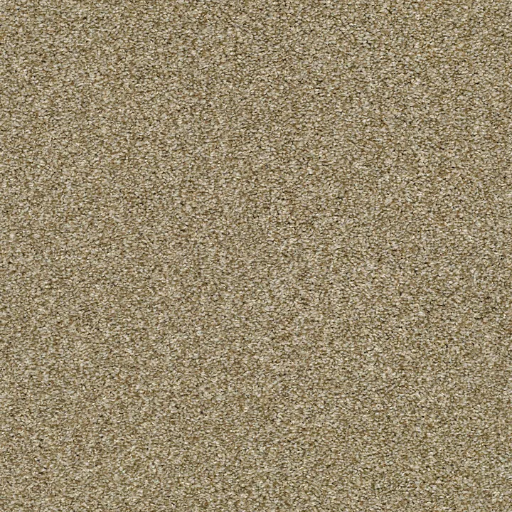 Shaw Floors Cabana Life (T) — Dried Clay · E9958-00137 — flooring selection with LeviArs Design & Remodeling
