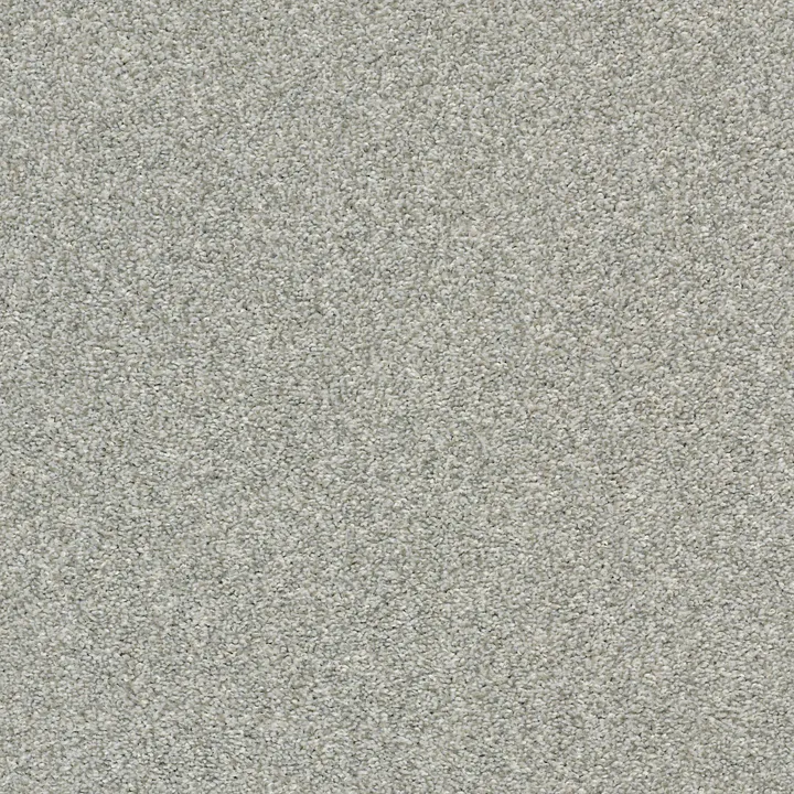 Shaw Floors Cabana Life (T) — Fog · E9958-00540 — flooring selection with LeviArs Design & Remodeling