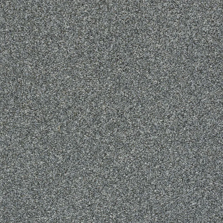 Shaw Floors Cabana Life (T) — Mountain Path · E9958-00531 — flooring selection with LeviArs Design & Remodeling