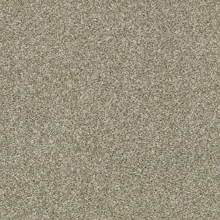 Shaw Floors Cabana Life (T) — Pebble Creek · E9958-00135 — flooring selection with LeviArs Design & Remodeling