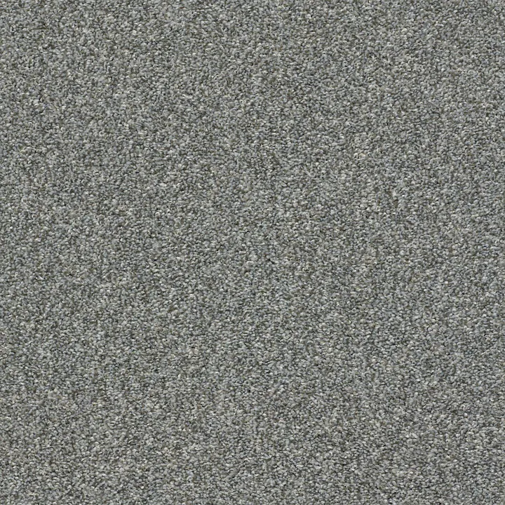 Shaw Floors Cabana Life (T) — Shadow · E9958-00541 — flooring selection with LeviArs Design & Remodeling