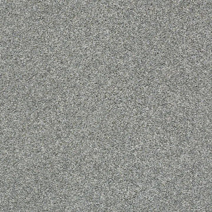 Shaw Floors Cabana Life (T) — Stainless · E9958-00542 — flooring selection with LeviArs Design & Remodeling