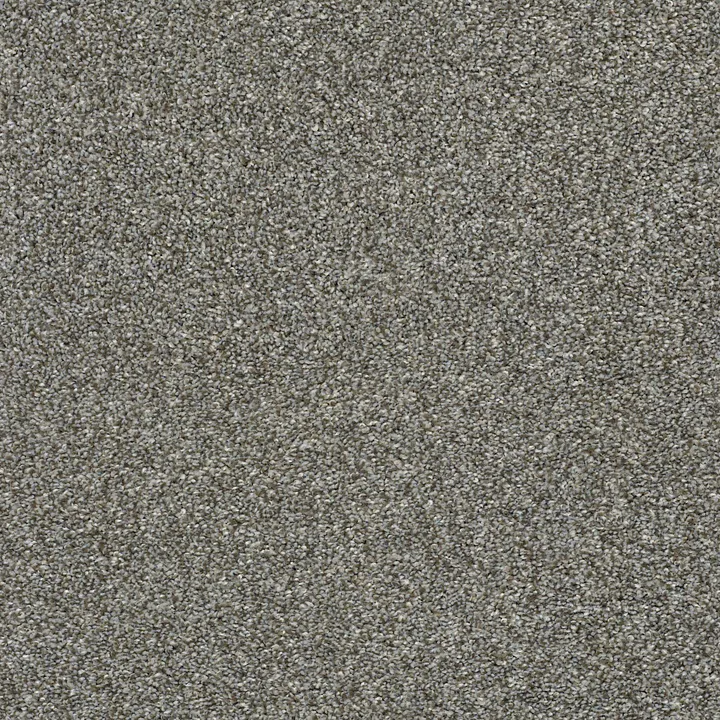 Shaw Floors Cabana Life (T) — Walking Trail · E9958-00745 — flooring selection with LeviArs Design & Remodeling