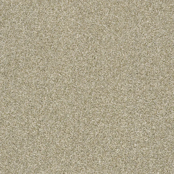 Shaw Floors Cabana Life (T) — Wheat Field · E9958-00142 — flooring selection with LeviArs Design & Remodeling