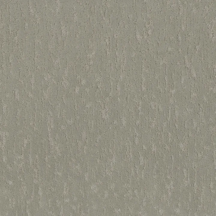 Shaw Floors Calm Expression — Organic Grown · 5E827-00320 — flooring selection with LeviArs Design & Remodeling