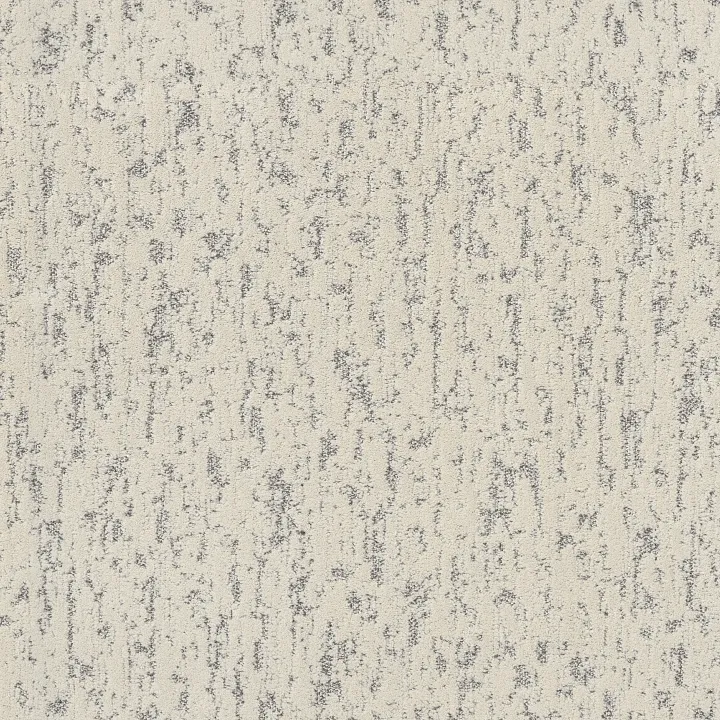 Shaw Floors Calm Expression — Soft Focus · 5E827-00123 — flooring selection with LeviArs Design & Remodeling