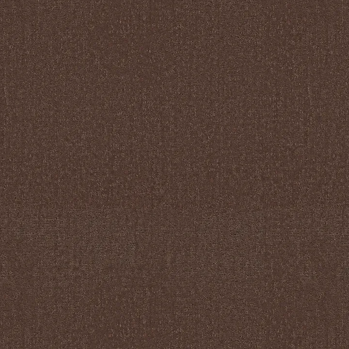 Shaw Floors Canvas Comfort Blue — Chili · 5E660-00620 — flooring selection with LeviArs Design & Remodeling