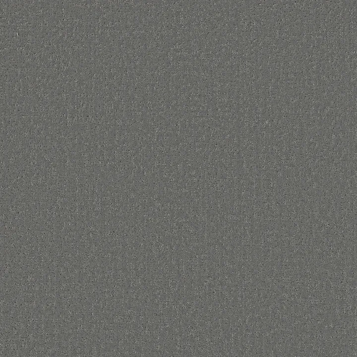 Shaw Floors Canvas Comfort Blue — Dolphin Sighting · 5E660-00510 — flooring selection with LeviArs Design & Remodeling