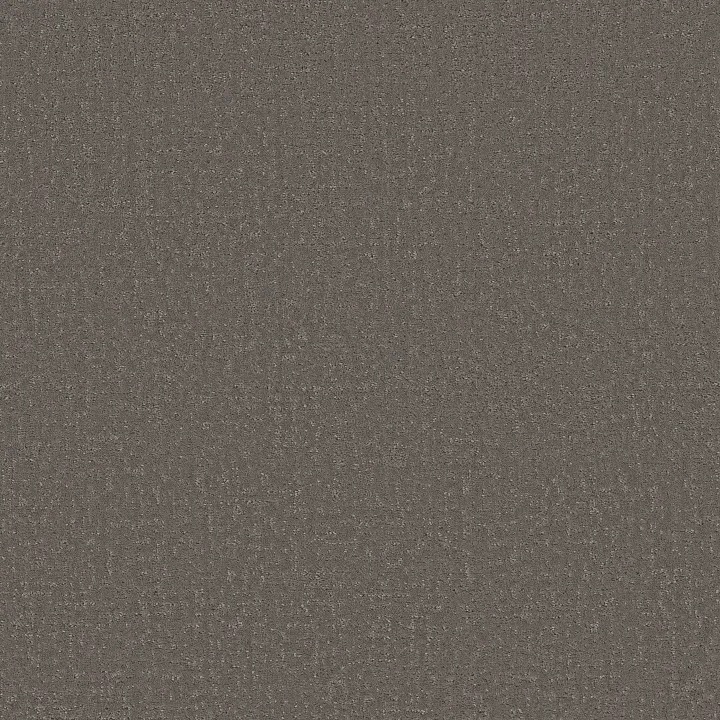 Shaw Floors Canvas Comfort Blue — French Market · 5E660-00752 — flooring selection with LeviArs Design & Remodeling