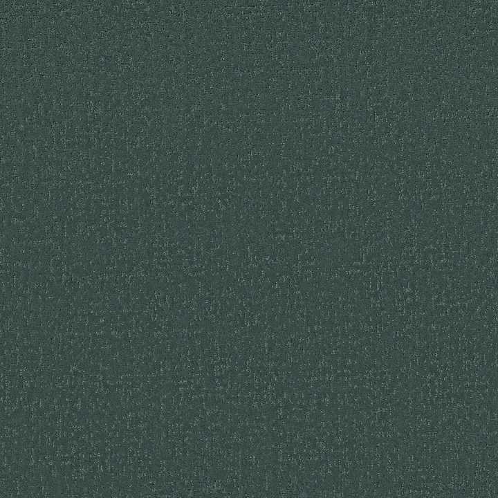 Shaw Floors Canvas Comfort — Bold Moves · 5E659-00327 — flooring selection with LeviArs Design & Remodeling