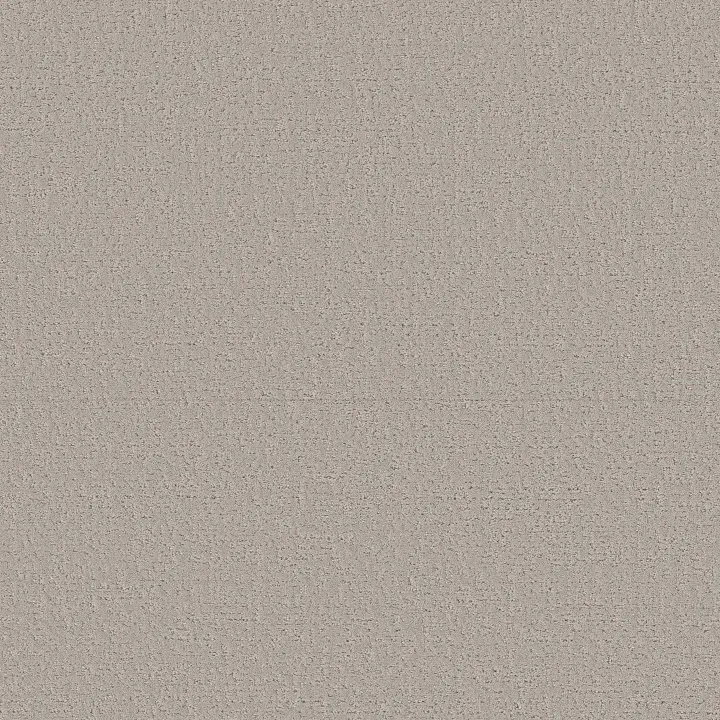 Shaw Floors Canvas Comfort — Chill In The Air · 5E659-00126 — flooring selection with LeviArs Design & Remodeling