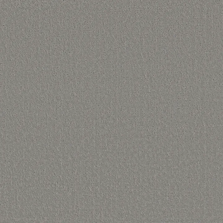 Shaw Floors Canvas Comfort — Cool Breeze · 5E659-00525 — flooring selection with LeviArs Design & Remodeling