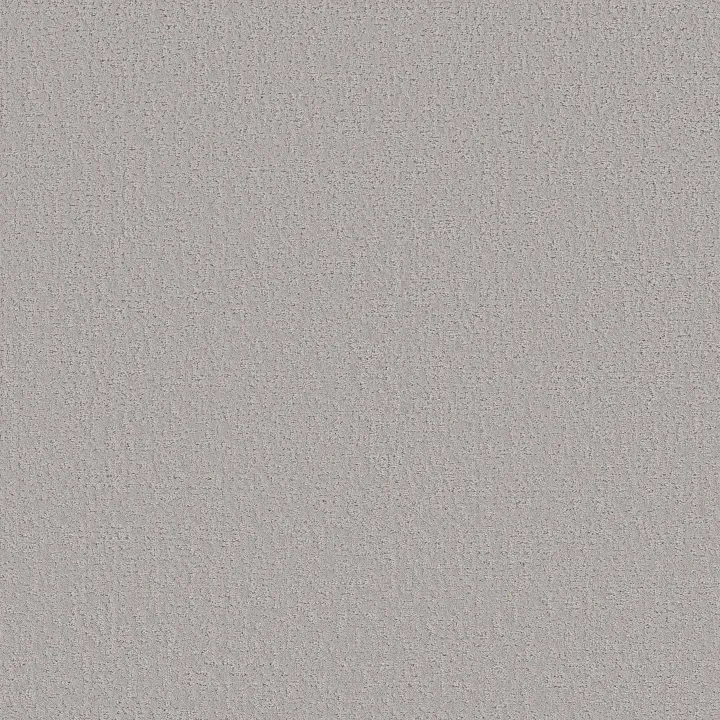 Shaw Floors Canvas Comfort — Dreamy · 5E659-00537 — flooring selection with LeviArs Design & Remodeling