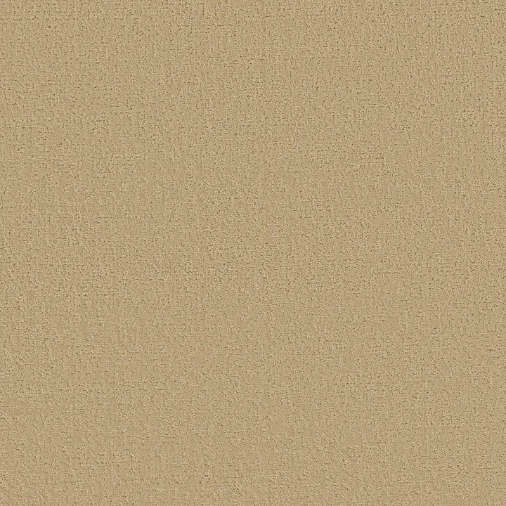 Shaw Floors Canvas Comfort — Hello Sunshine · 5E659-00224 — flooring selection with LeviArs Design & Remodeling